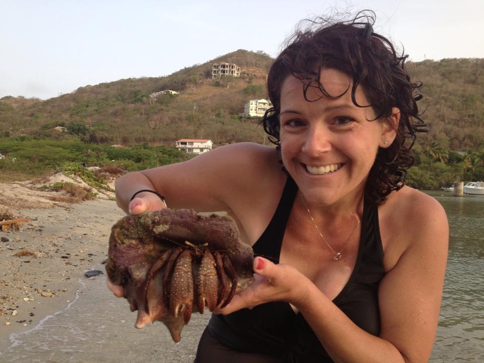 July 2015 -- Julie found the biggest Hermit Crab you've ever seen! He had hijacked a conch shell.